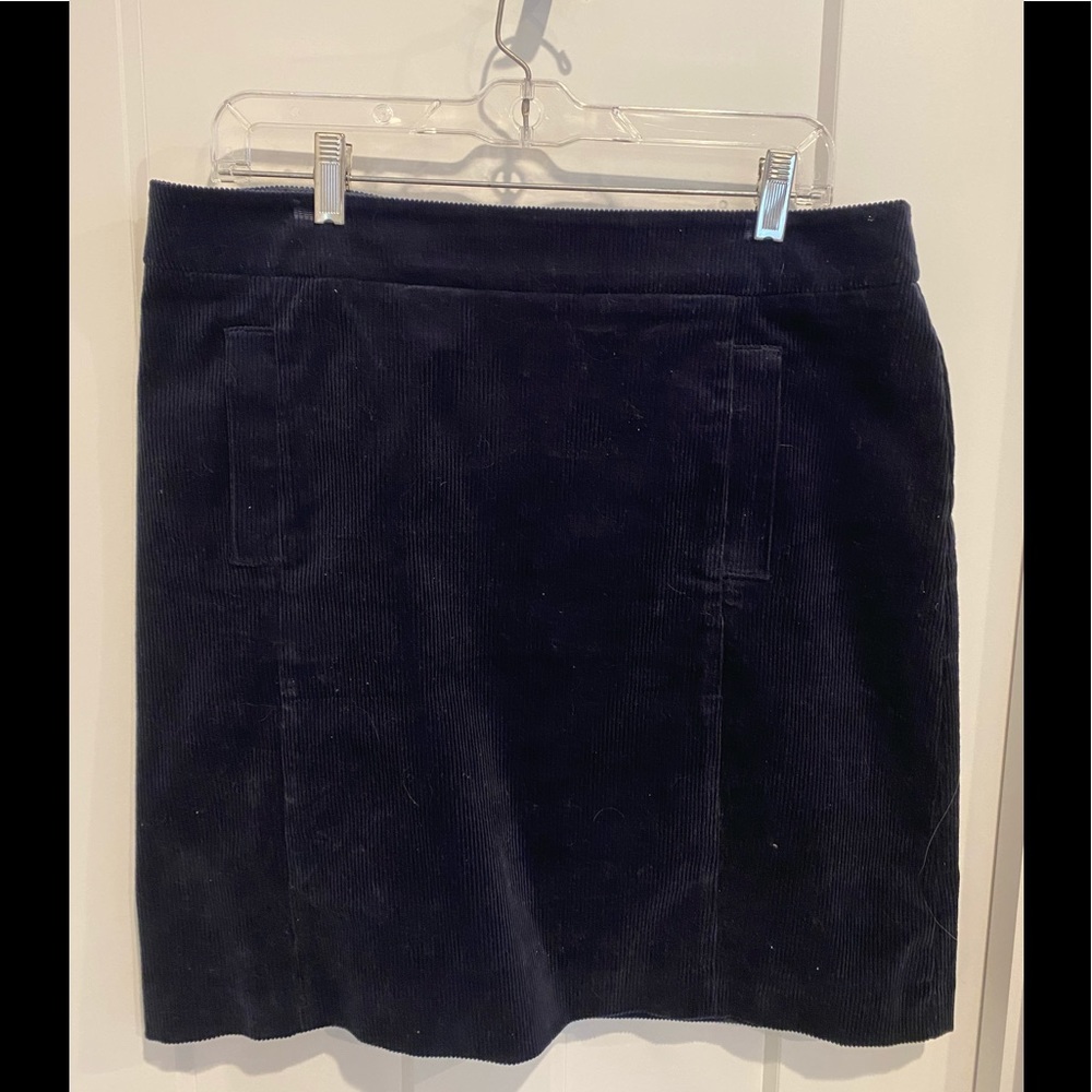 Ann Taylor skort a line